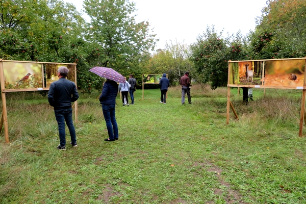 Une exposition de photographies aux Villas du Parc à Vanvey
