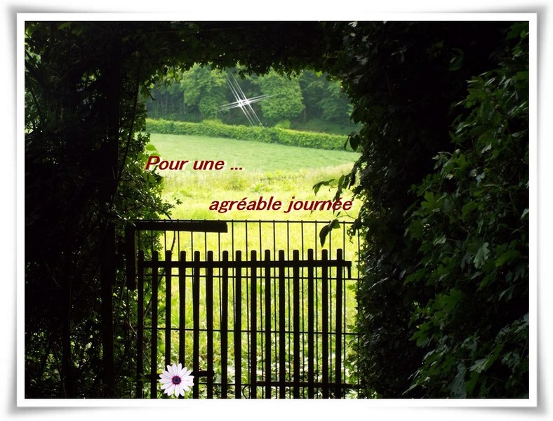 "coups d'coeur" ... (3)
