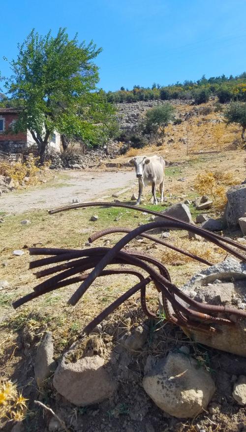 L'hospitalité en chemin