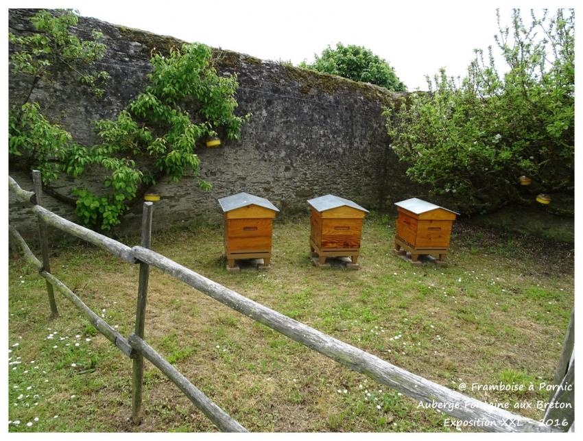 Pornic, Expo XXL à l'Auberge de la Fontaine aux Bretons - 2016