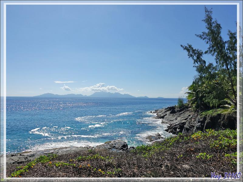 Départ pour une marche dans la forêt, impénétrable hors sentier, vers la Pointe Ramasse-tout et la plage d'Anse Cimetière - Ile Silhouette - Seychelles