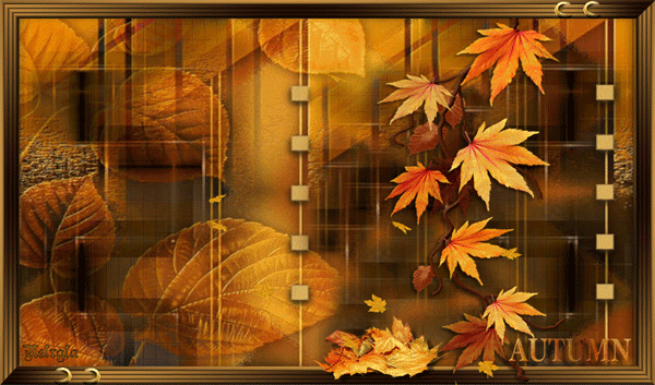 Layout once again autumn