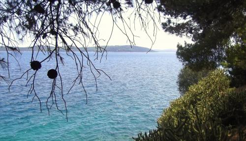 De SPETSAÏ à ERMIONI