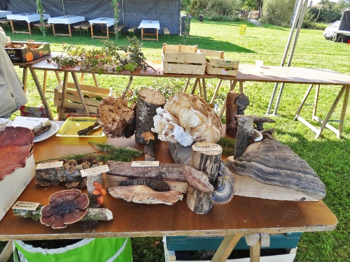 La fête de l'Automne à Leuglay...