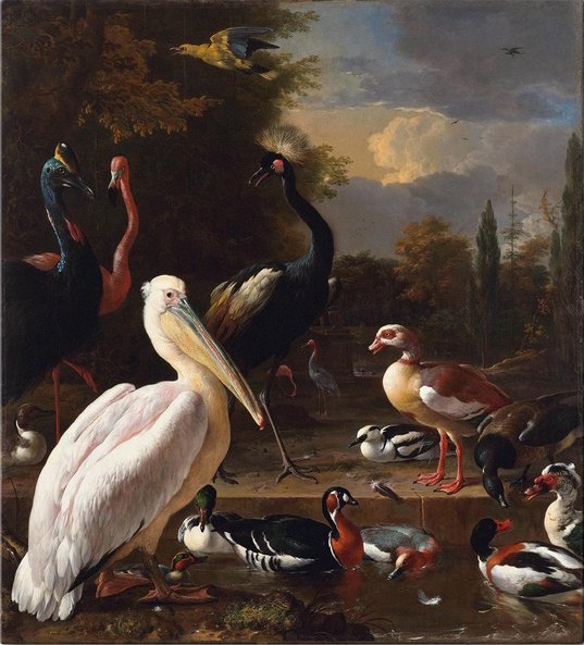 Samedi - Un thème, un tableau : "Les oiseaux"