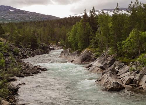 Blagounettes du mardi ... !!!