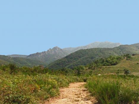Sur les hauteurs d'une vallée âpre - Le Tour du Vallespir - Etape 6 : Saint-Laurent-de-Cerdans - Amélie-les-Bains - 21,5 kms