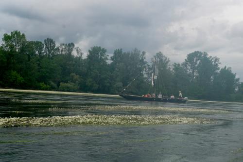 Un petit tour sur la Loire