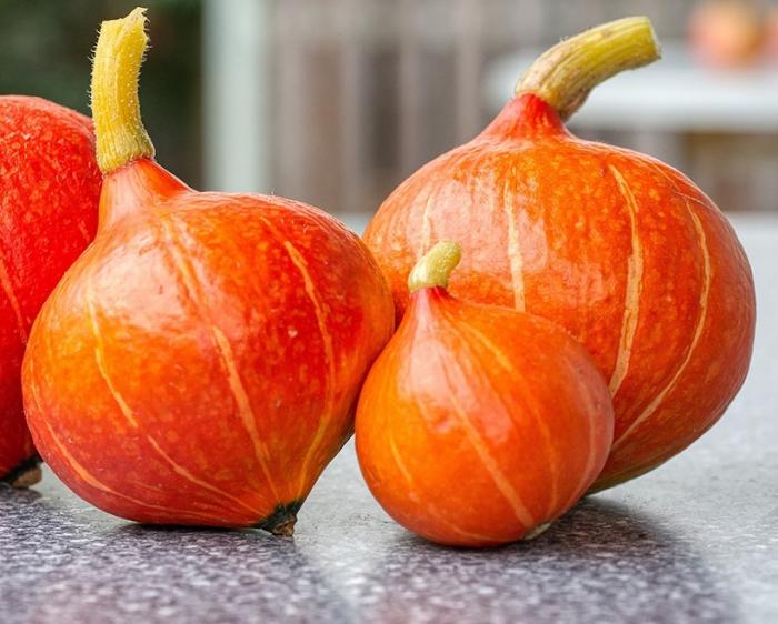 Légumes du mois de Septembre