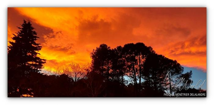 Les Cévennes : Une tradition d’accueil et de liberté