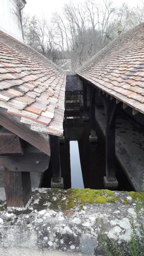 Un peu de nos randonnées 