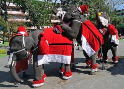 Joyeux Noël monde entier, l'Isan, nord-est Thaïlande
