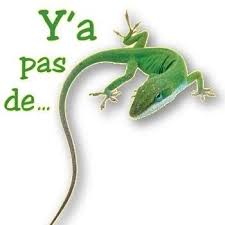 Expressions pittoresques ou la quintessence de la sapience
