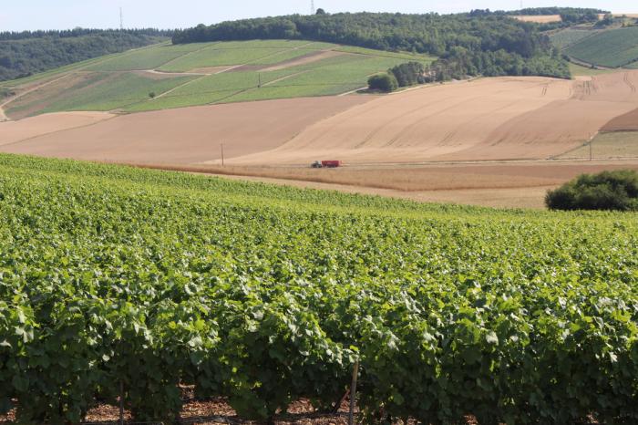 Département de la Haute Marne