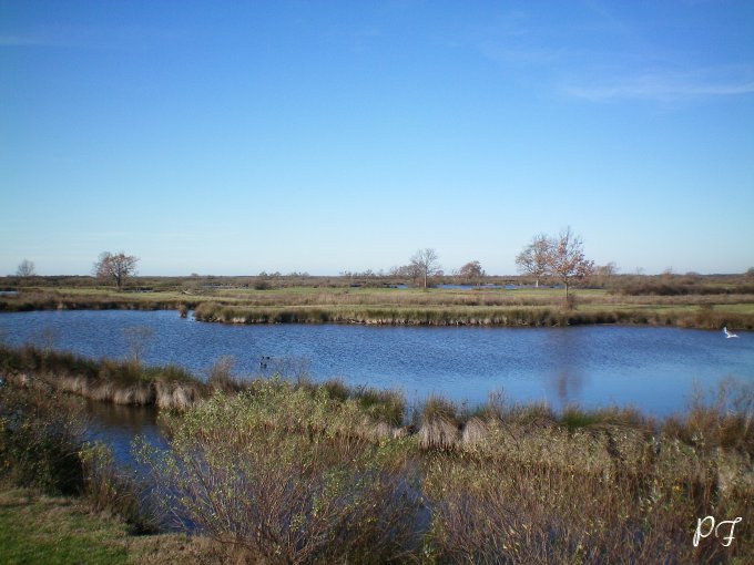 image</p>28.jpg