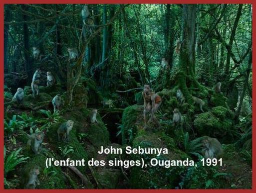 Les Enfants De La Jungle.