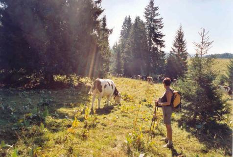 Dans les pas des moines défricheurs - 6eme étape : Lamoura - Villard Saint-Sauveur  (23 km)