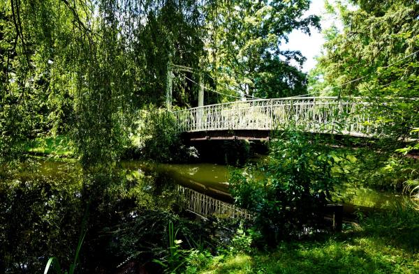 L'arboretum de la Vallée aux Loups à Chatenay-Malabry