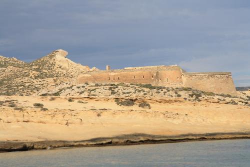 Lundi 20 au dimanche 26 janvier