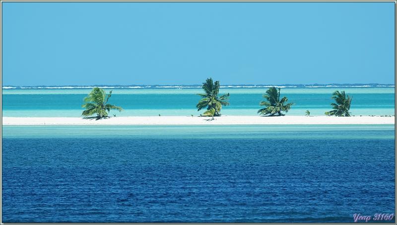 Le blues des quatre cocotiers - Banc de sable en bout de l'île Saint-François - Seychelles