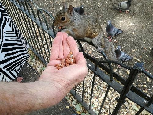  * St James's Park