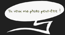 Gallinule poule-d'eau