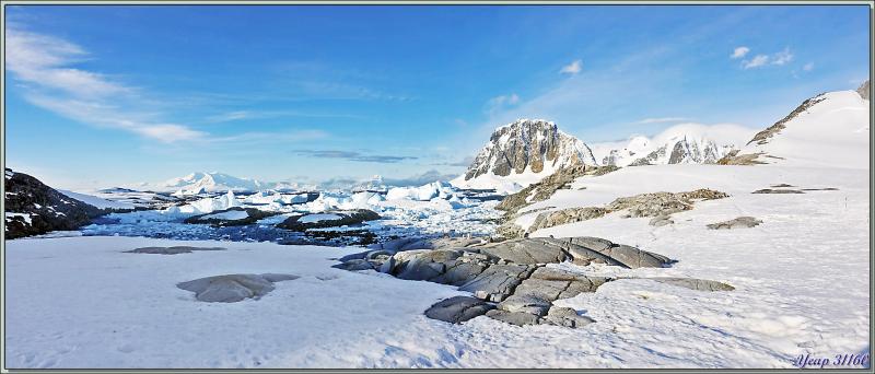 08/03/2022 : la Baie Port-Charcot avec son environnement, ses manchots papous et ses otaries à fourrure antarctiques - Booth Island - Péninsule Antarctique