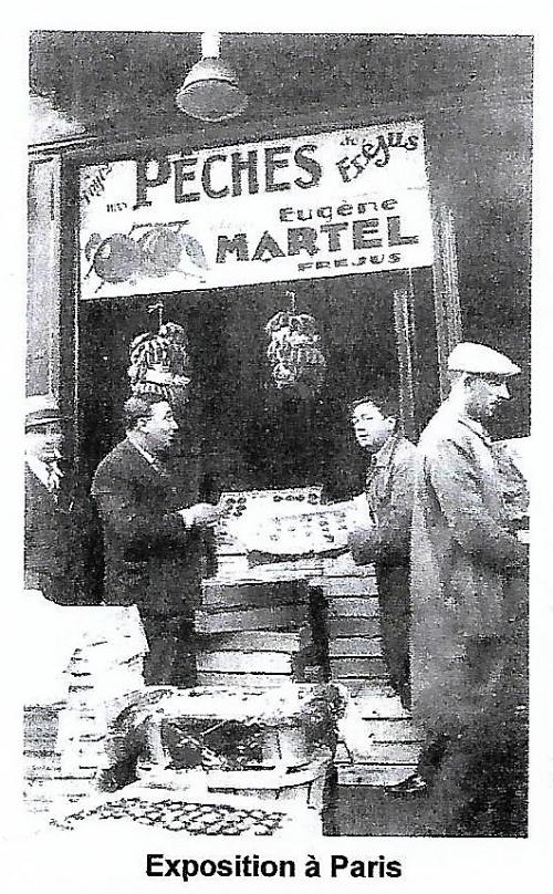 Marcher, papoter : le résumé
