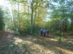 La randonnée du 21 octobre en forêt de Grimbosq