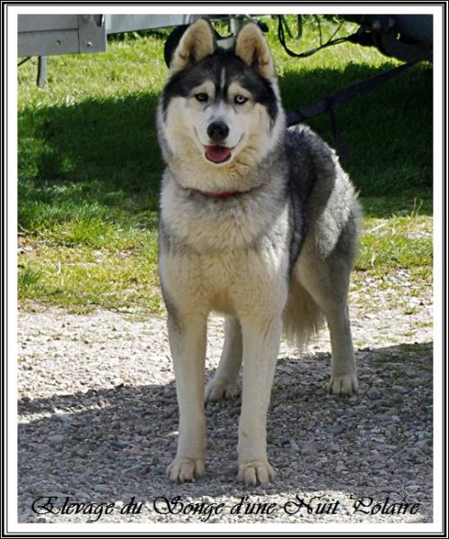 Isis (3 ans)