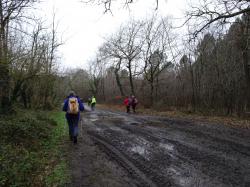 CR / RANDO 15 / ST-MEDARD-EN-JALLES