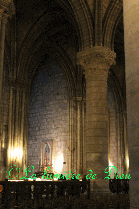 La cathédrale Notre-Dame de Paris