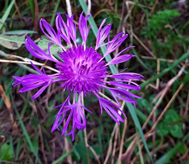 Photos amusantes ou étonnantes