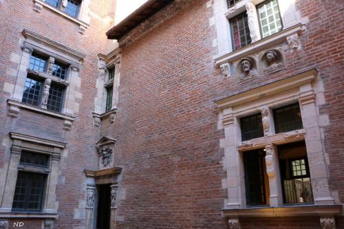 Albi  (Tarn)