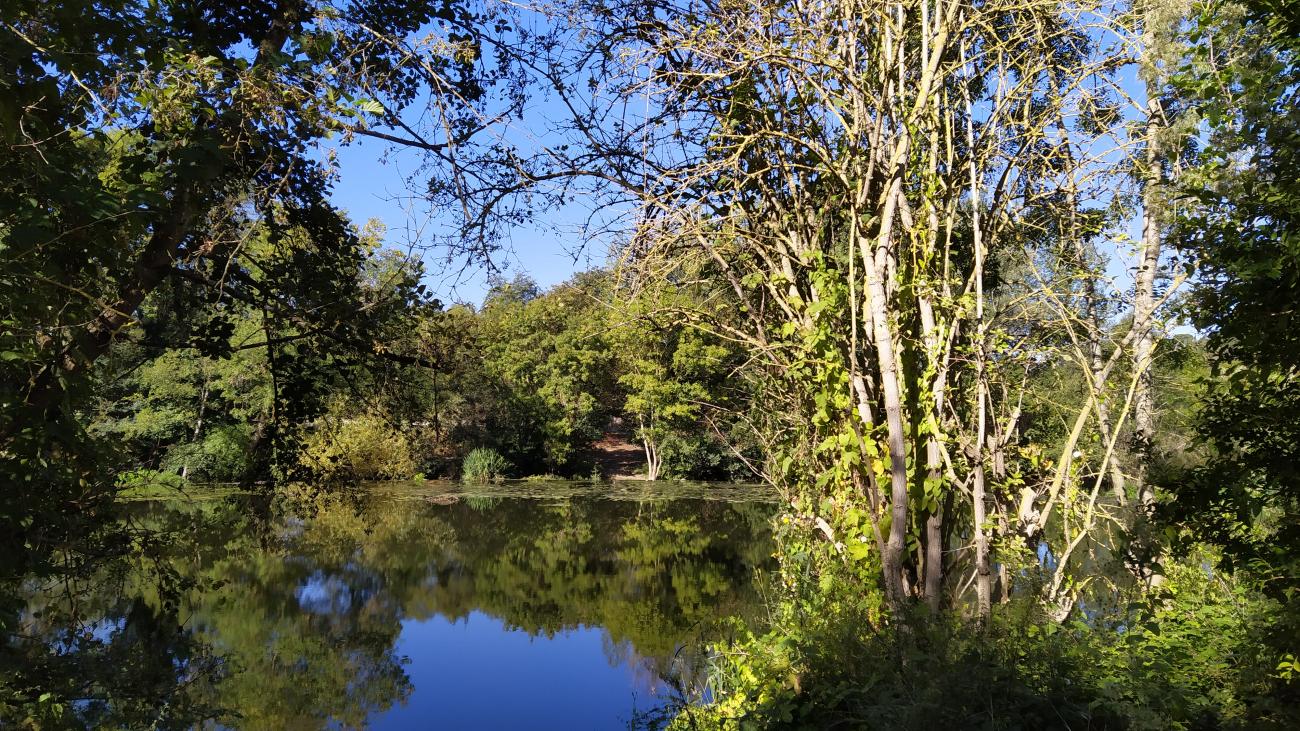 défi reflets N°7