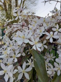 Photographier le printemps ! 