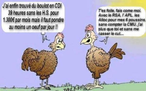Humour du jeudi ... !!!