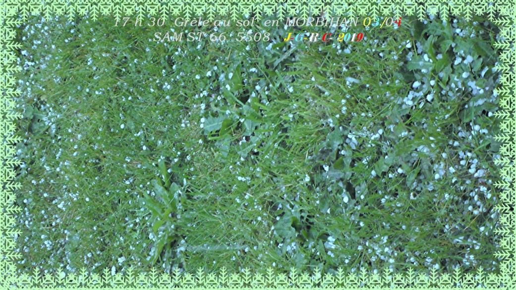 CITATIONS                D   04/04/2019