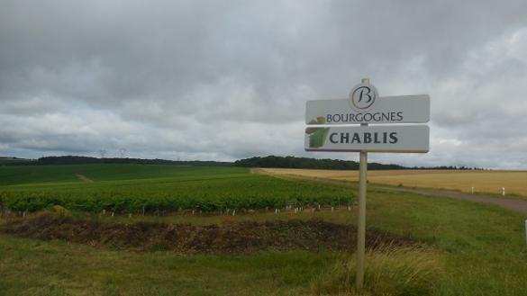 Vins de Bourgogne, Fontenay-près-Chablis, Epineuil (89)
