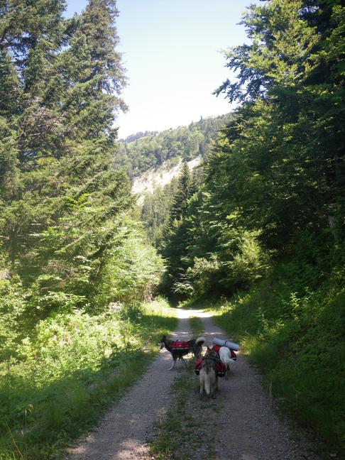 Le Tour de Valromey 2013