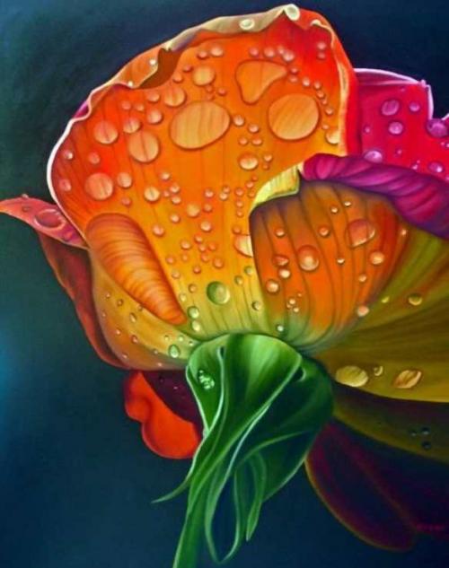 Les fleurs de Bryan Weyers