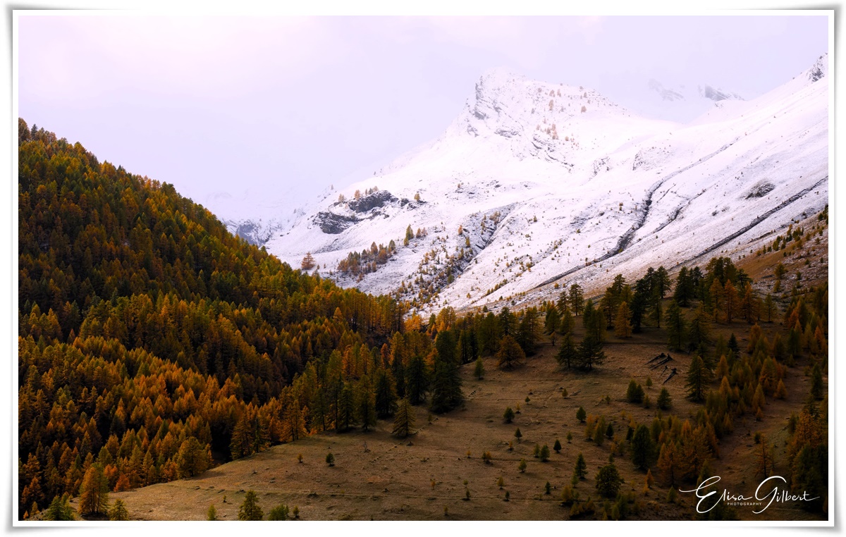 Ambiance hivernale
