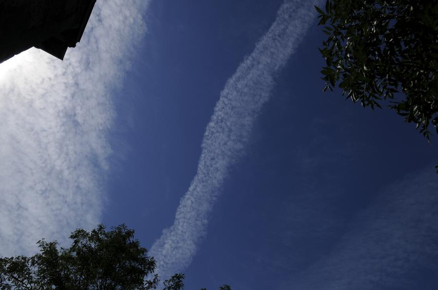  ... de pas très pur et pas très beau !