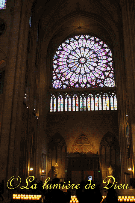 La cathédrale Notre-Dame de Paris