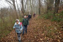 La randonnée du 19 décembre à Avenay
