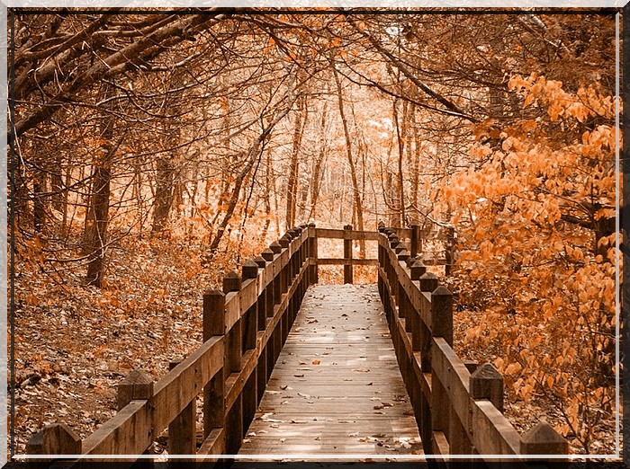 "Chant d'Automne" poème de Charles Baudelaire