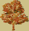 Vie d'un arbre 
