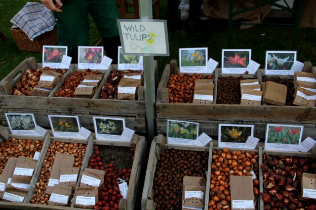 Beervelde - Octobre 2014 : Au Pays des Fées et des Elfes