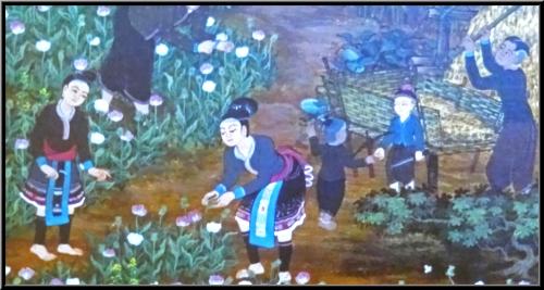 "Voyage au Nord Laos", une conférence de Jean Ponsignon pour l'ACC