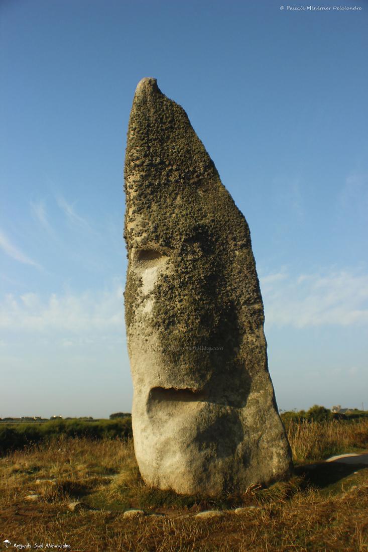 Menhir de Cam-Louis
